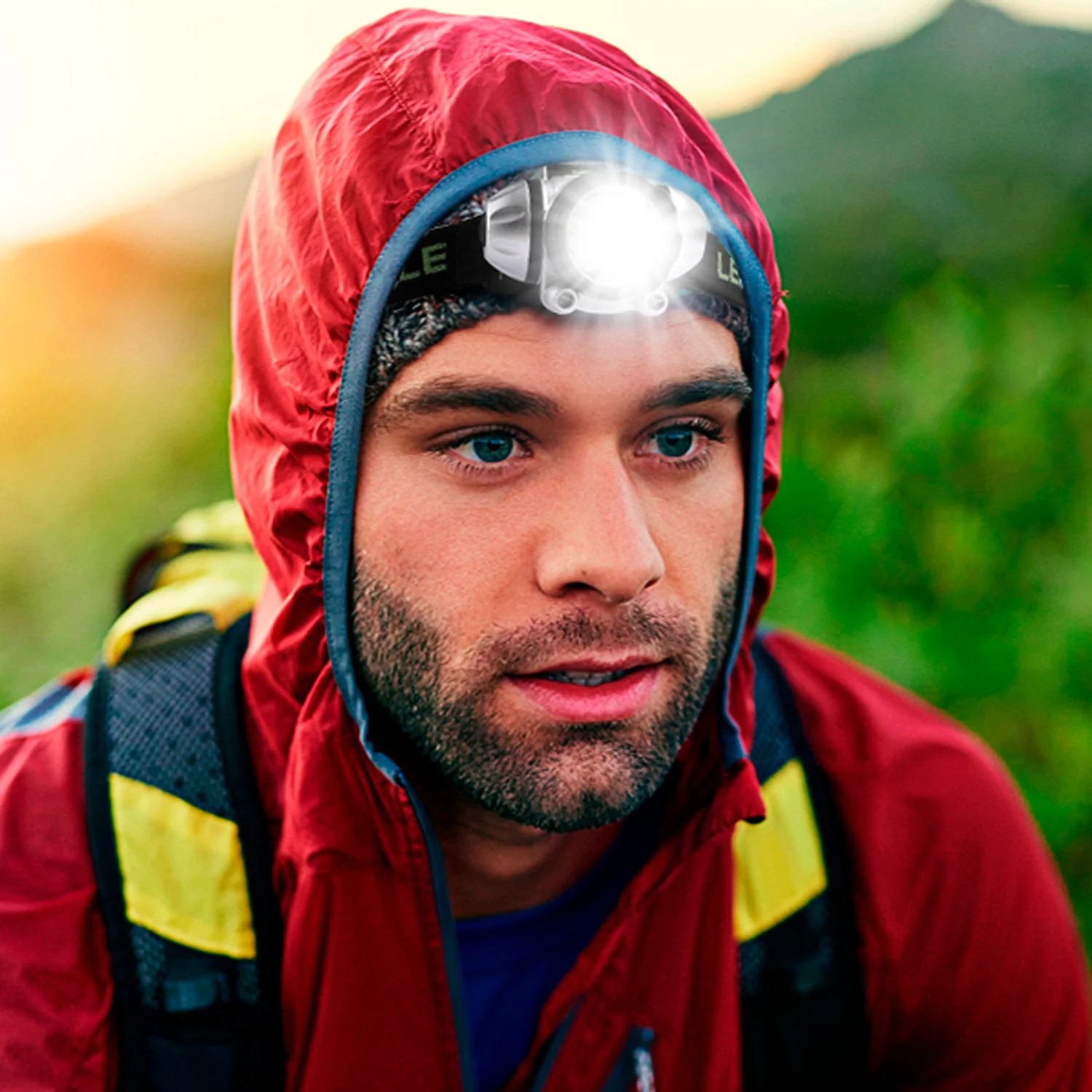 Thumbnail 7